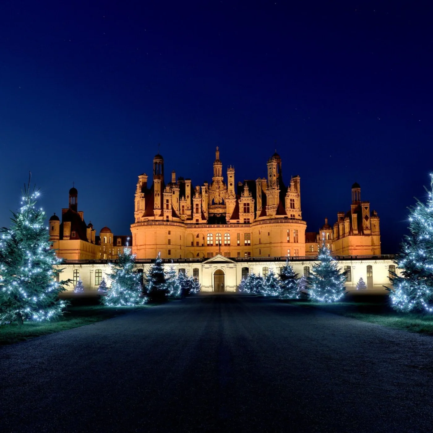 Animation séminaire Angers groupe en activité sur les bords de Maine avec le château en arrière-plan — INNOV'events organisation événements