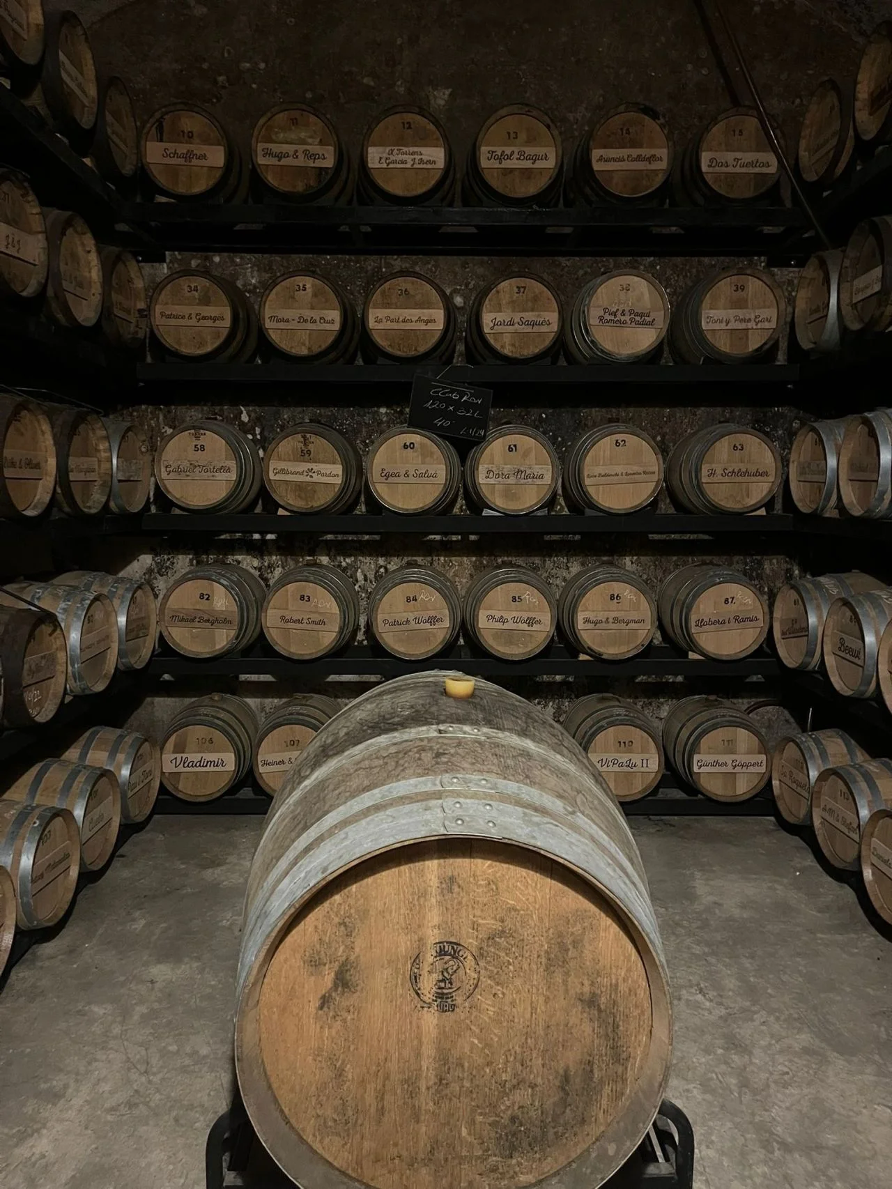 Animation séminaire Nantes groupe en activité outdoor sur les bords de Loire vue estuaire — INNOV'events organisation événements