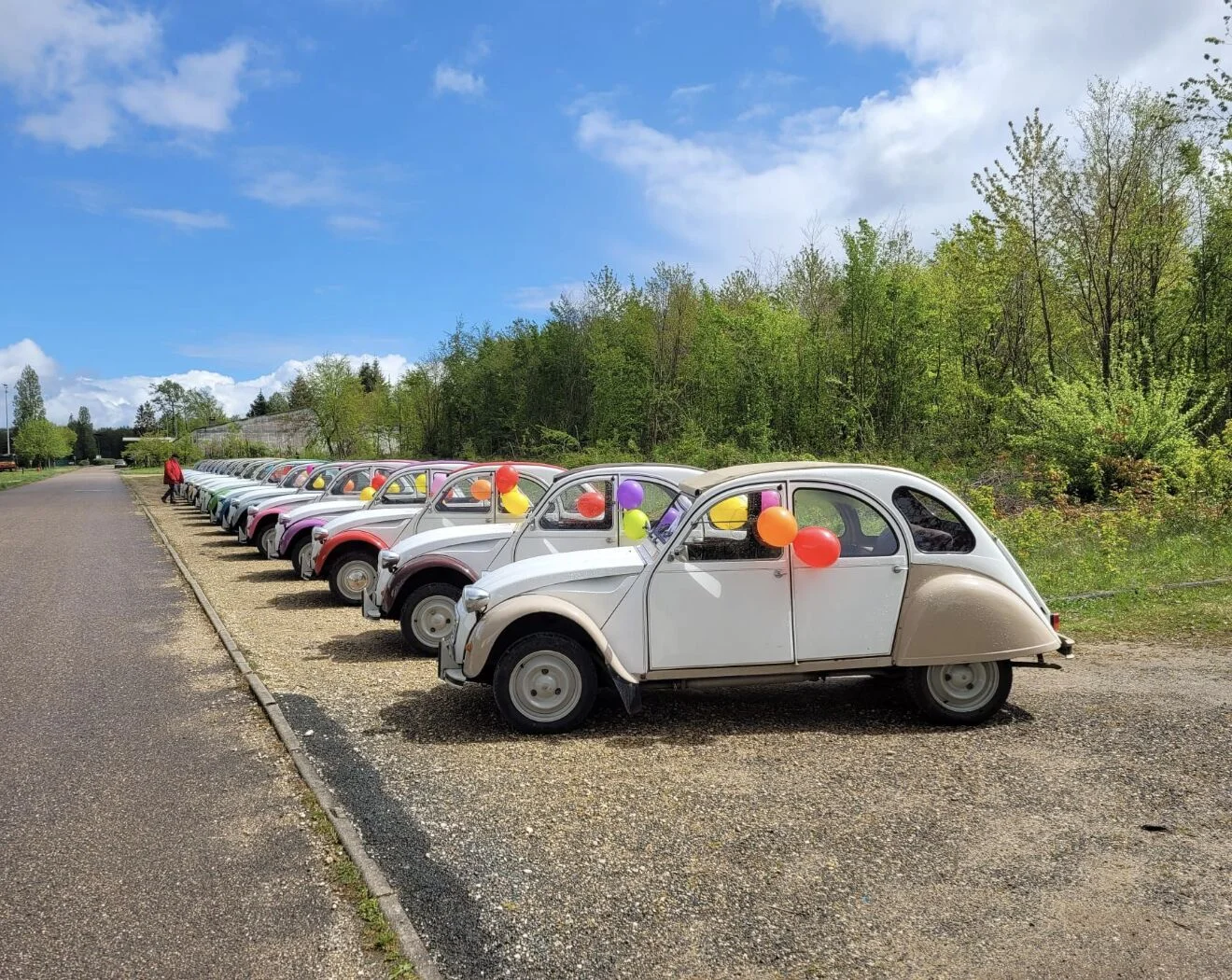 Animation team building Toulon groupe en challenge outdoor sur les hauteurs du Mont Faron avec vue sur la rade et la Méditerranée — INNOV'events organisation événements