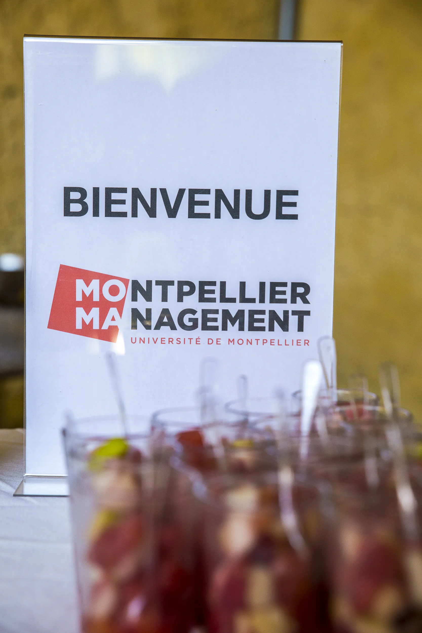 Animation dégustation repas d'entreprise Montpellier cave voûtée ambiance soirée INNOV'events