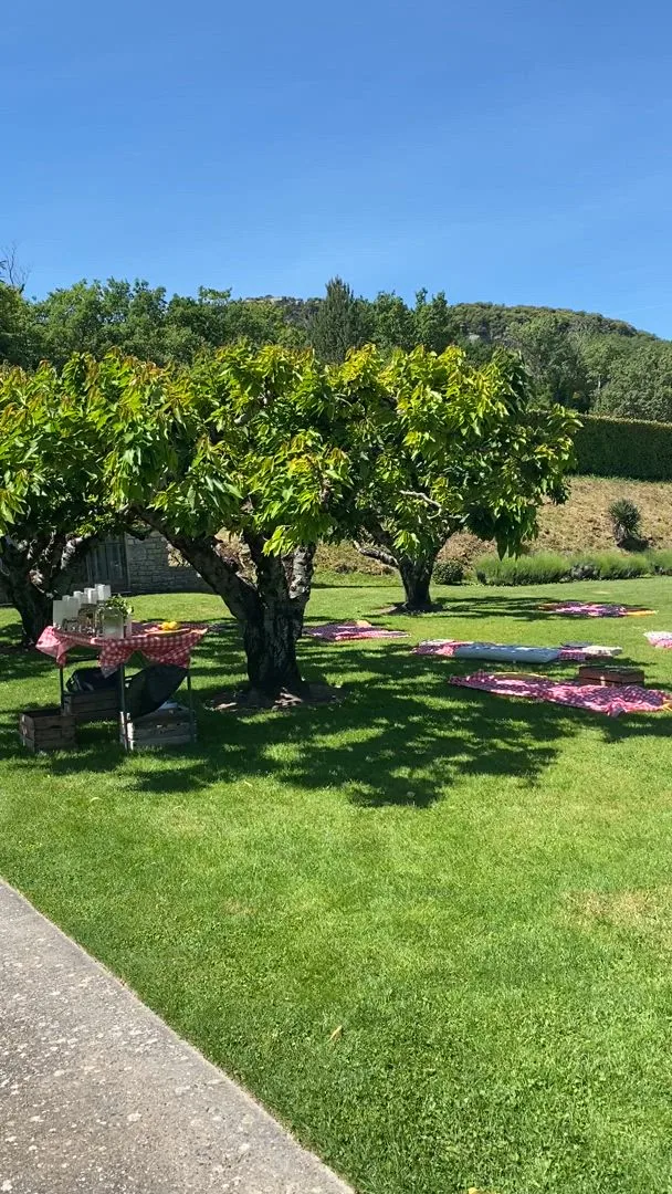 garden party Guadeloupe groupe participants animations jeux collectifs pelouse tropicale INNOV'events