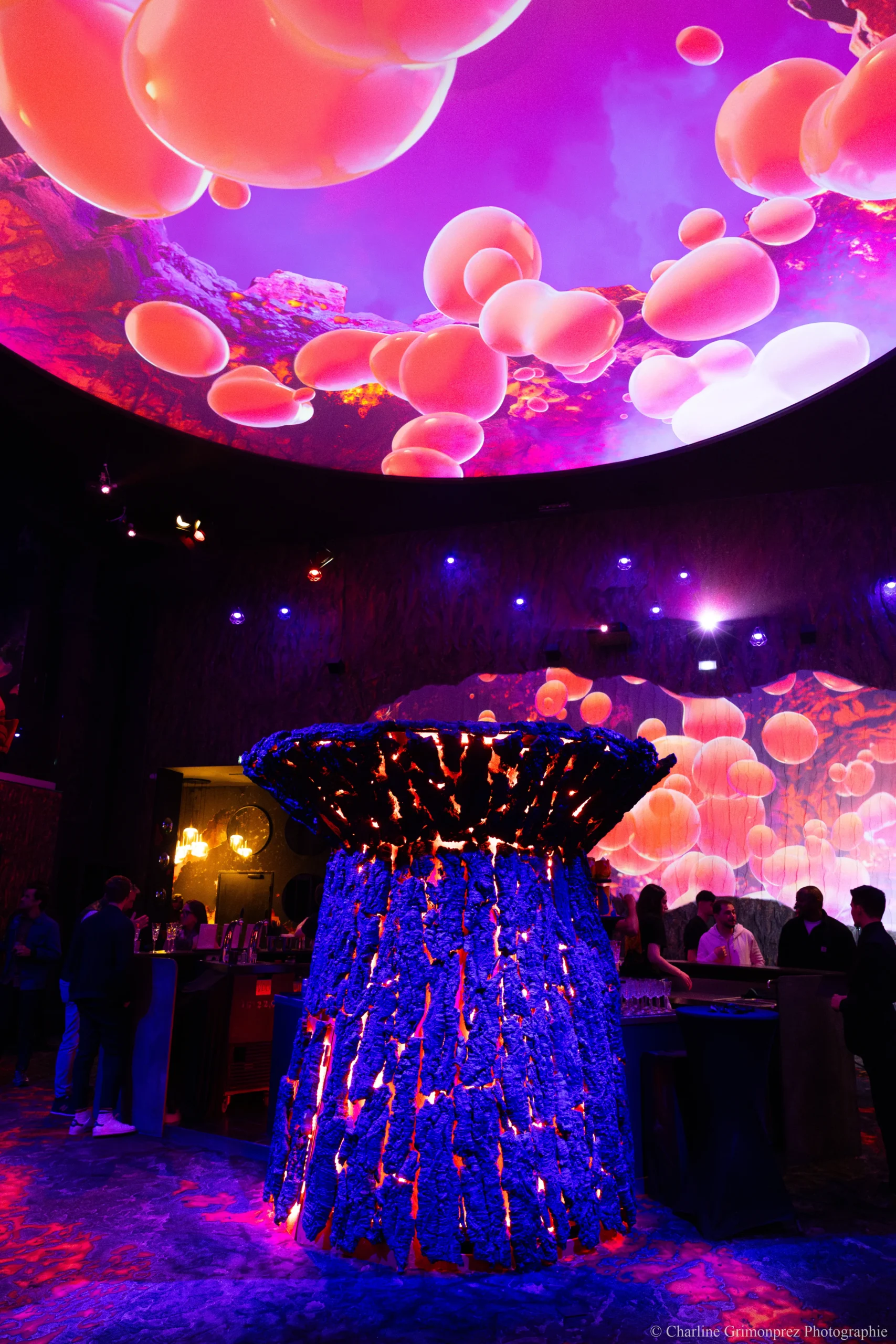 Décoration événementielle entreprise Poitiers dîner de gala salle Futuroscope INNOV'events