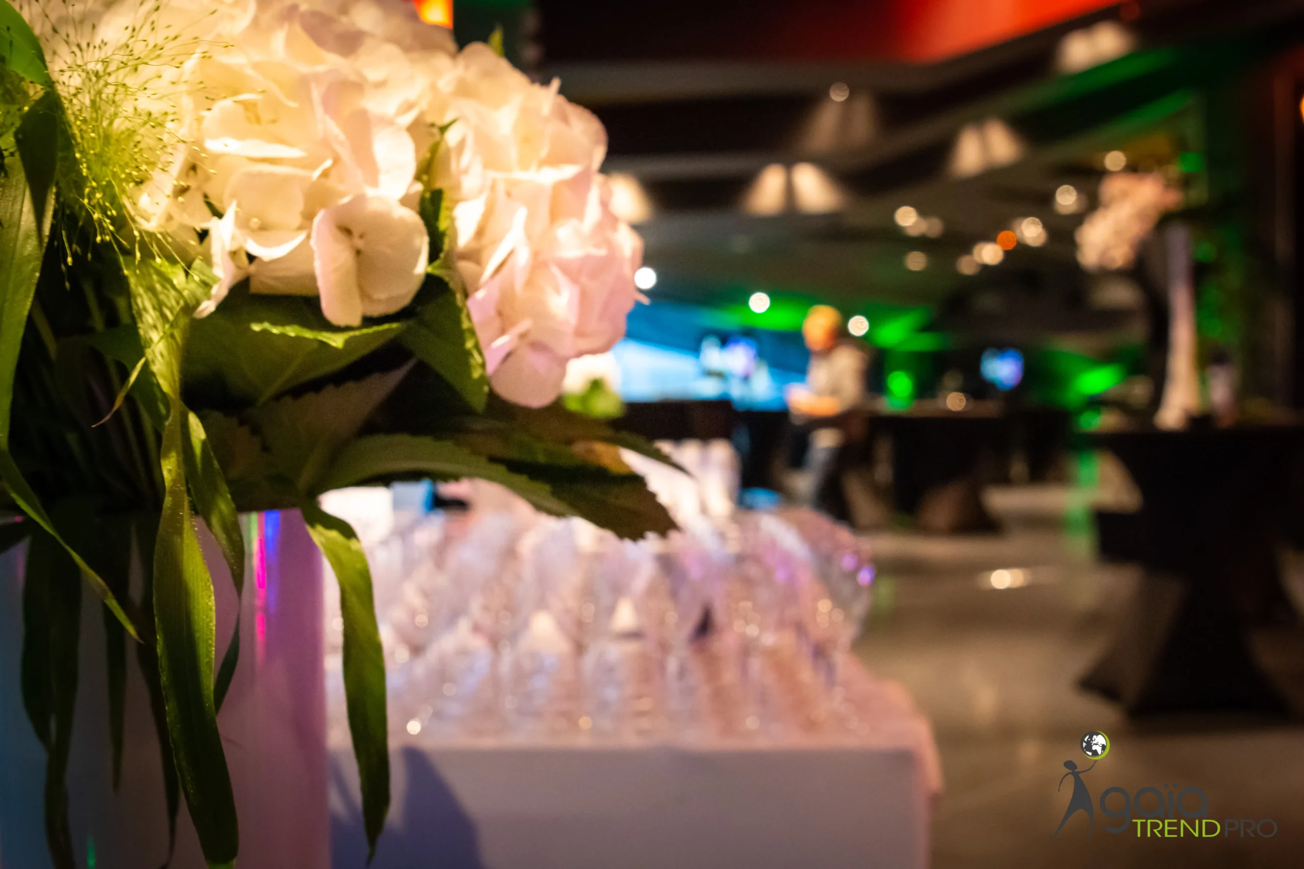 Cérémonie des vœux Angers cocktail debout invités en conversation INNOV'events