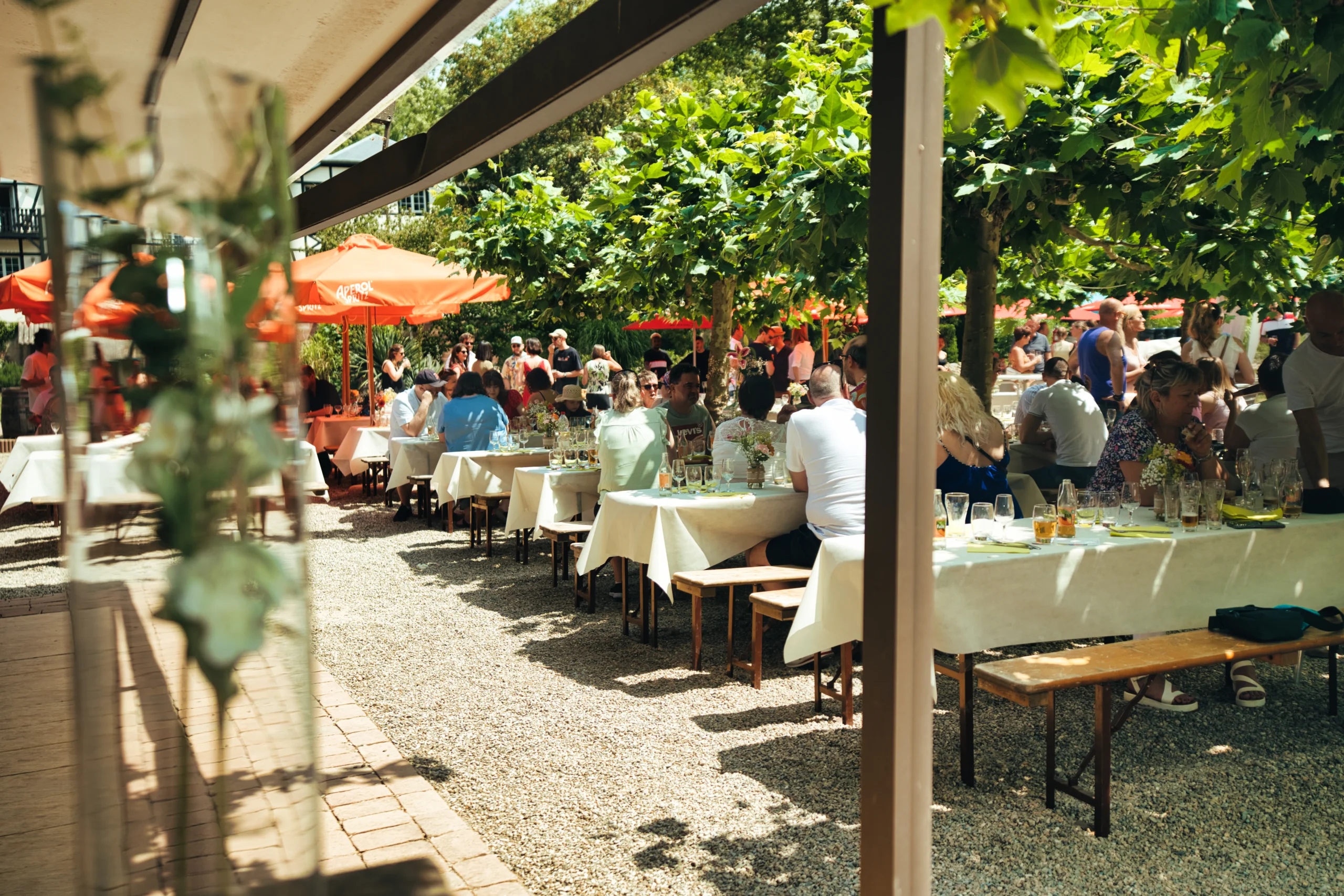 Repas d'entreprise Pau salle de réception vue Pyrénées soirée de gala INNOV'events