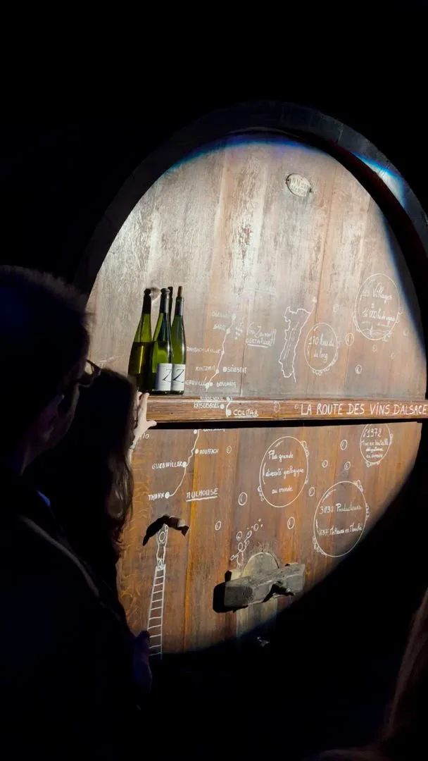 Team building Colmar vignobles Route des vins groupes entreprise INNOV'events organisation d'événements