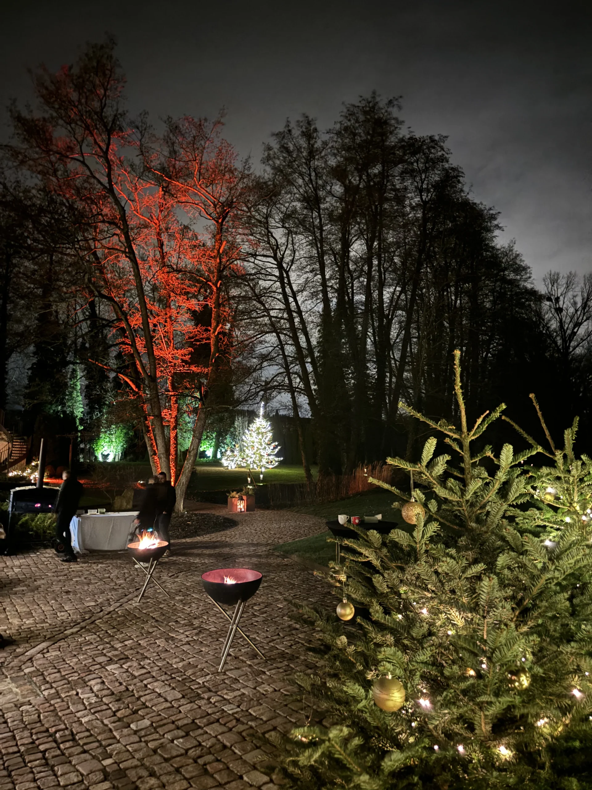 Lieu événementiel arbre de Noël Poitiers vue centre médiéval INNOV'events