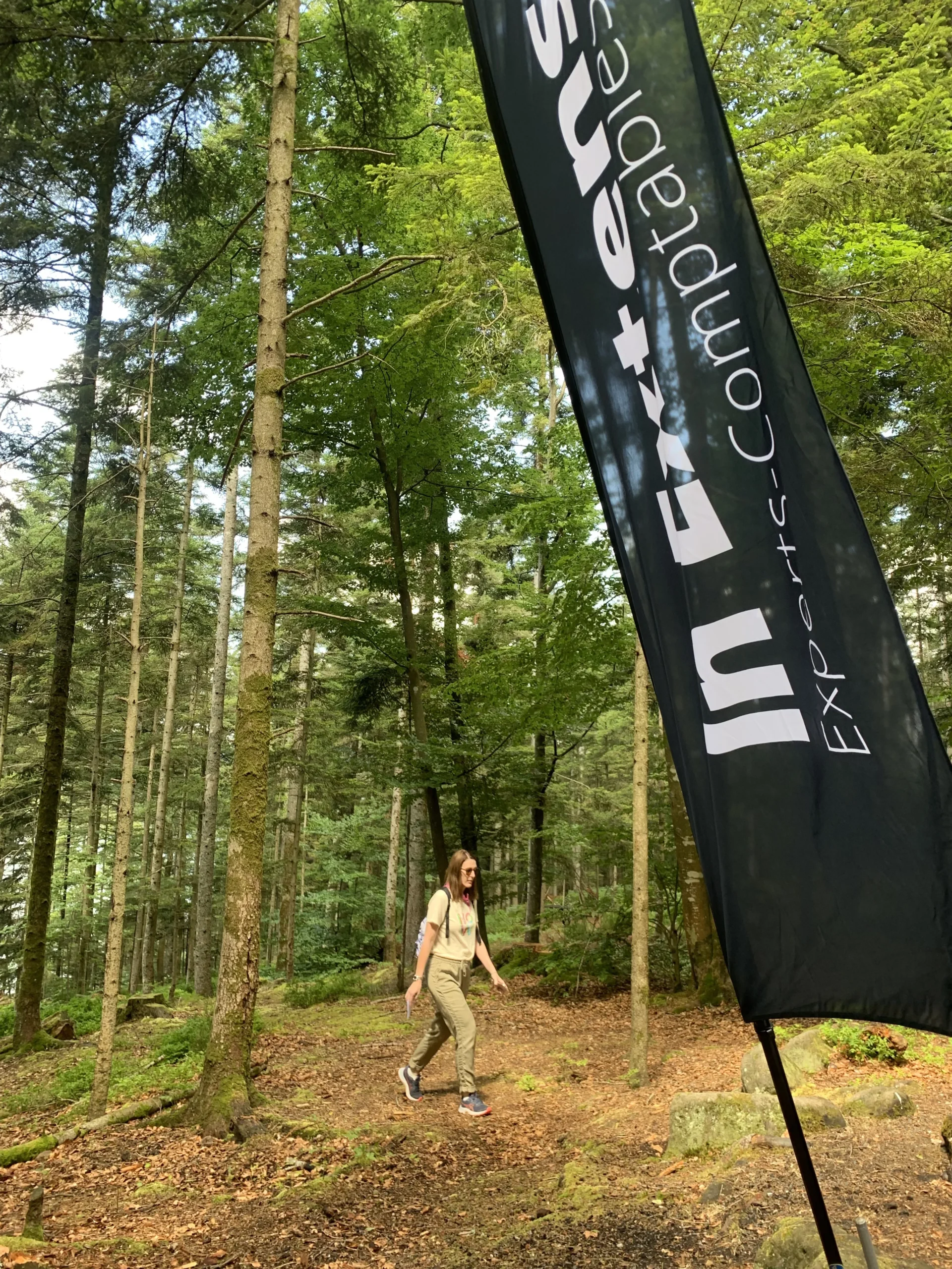 Activité outdoor Épinal groupe tir à l'arc forêt vosgienne été INNOV'events