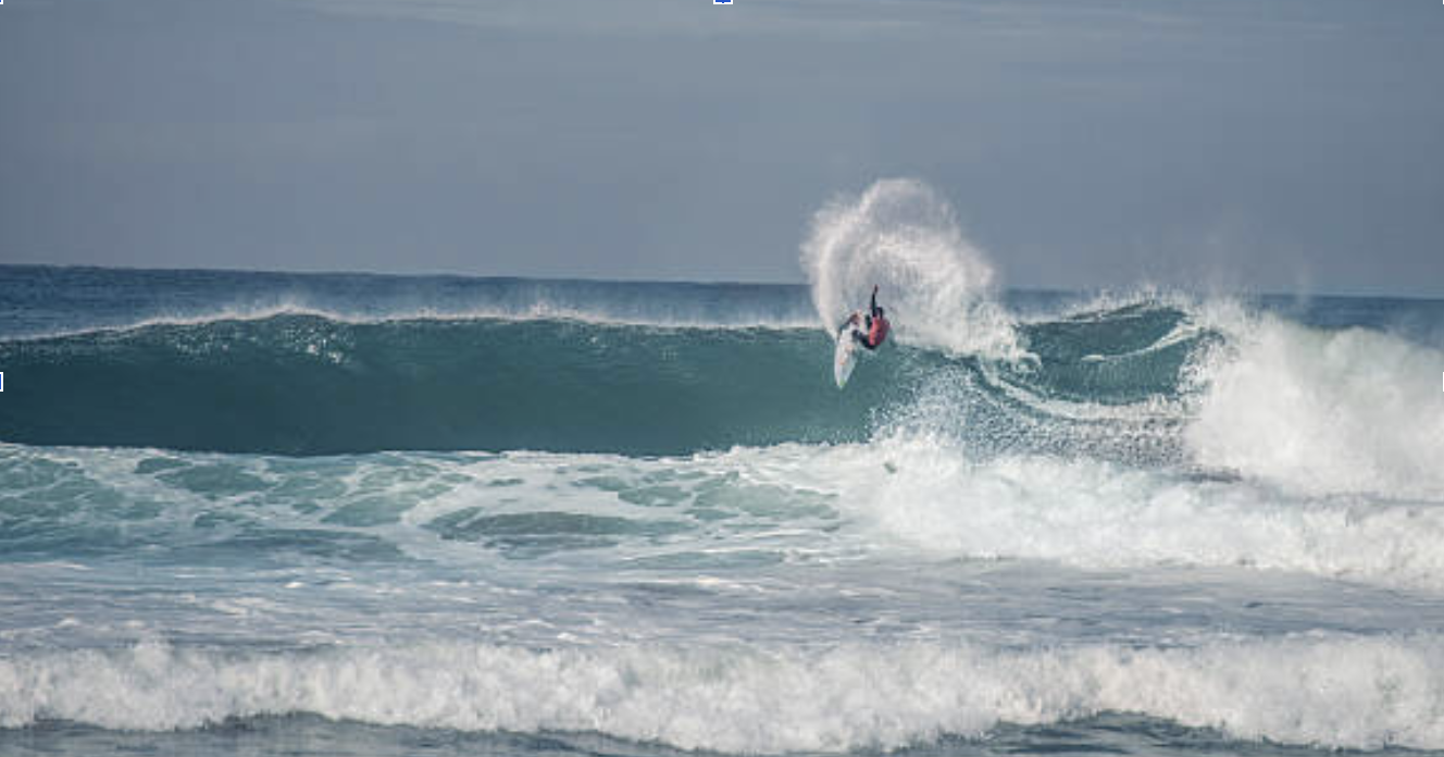 surfcamp entreprise