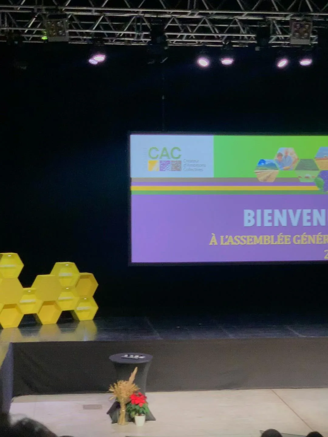 Assemblée générale plénière Grenoble grande salle vote INNOV'events